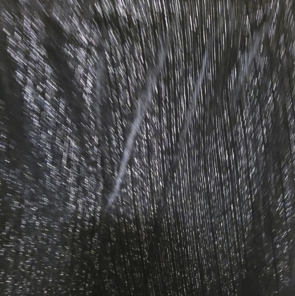 NWT One by Chapter One pants - Picture 4 of 5